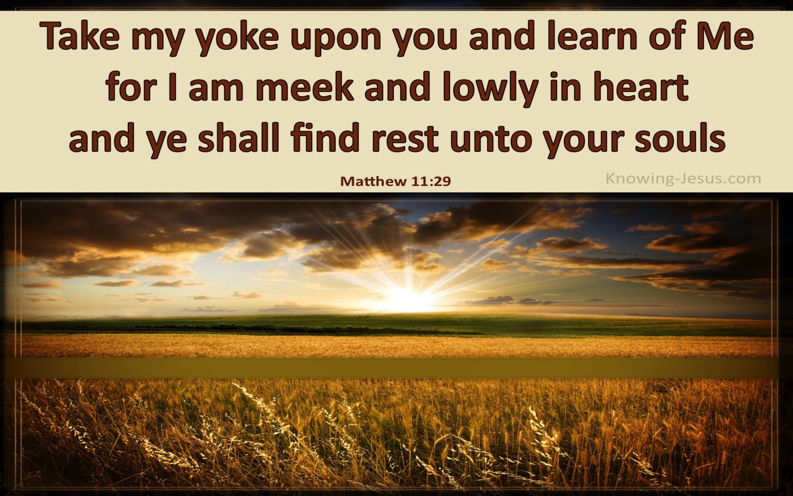 Matthew 11:29 Take My Yoke Upon You (brown)